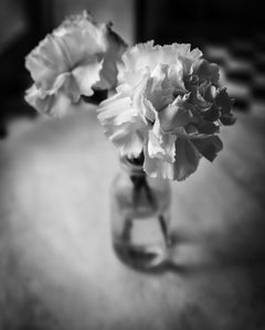 Flowers on the Table, London