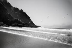 Oregon Coast, USA