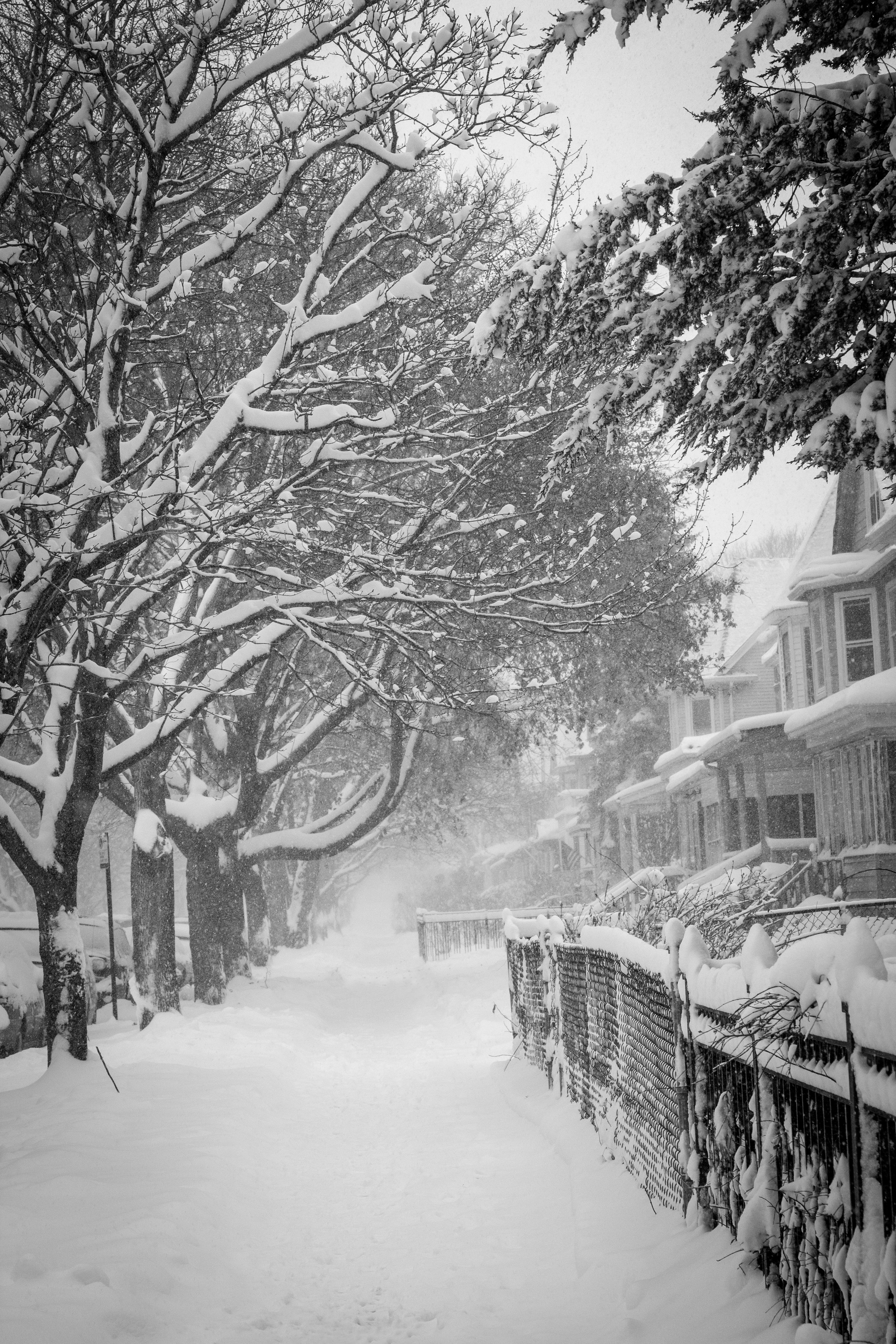 Sarah Hadley Landscape Photograph - Snowfall, Chicago