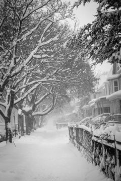 Chutes de neige, Chicago