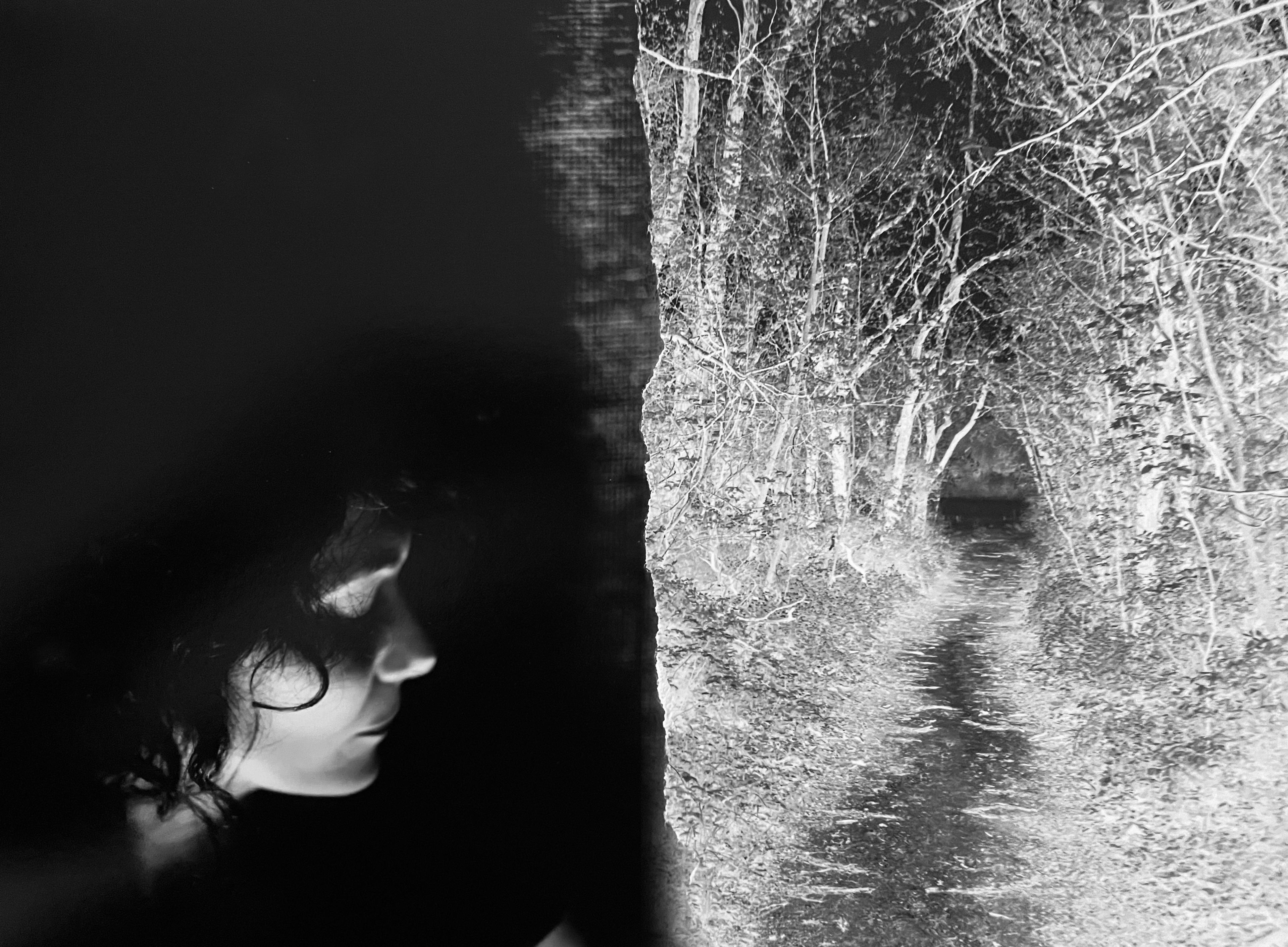 Sarah Hadley Figurative Photograph – The Path Ahead