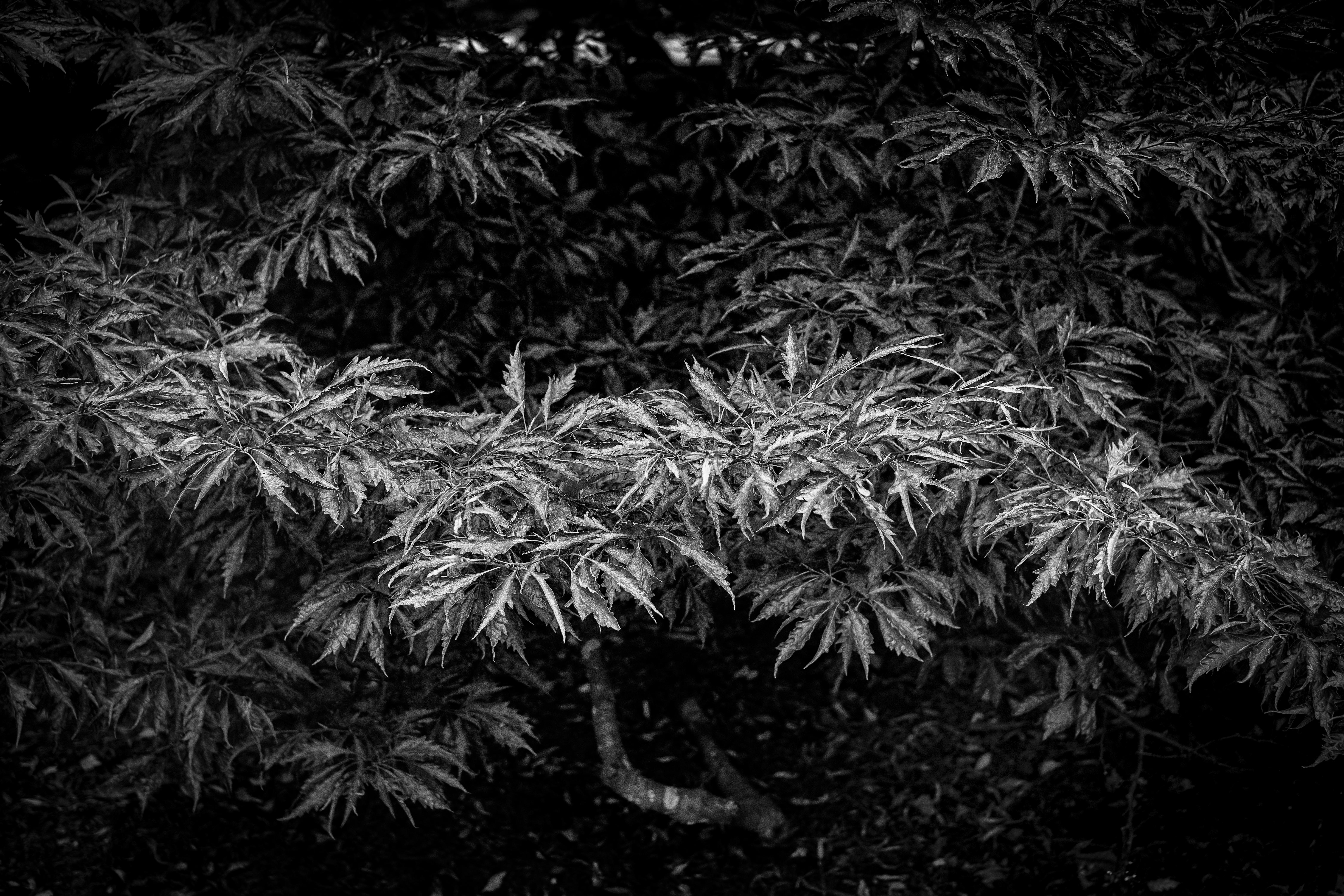 Sarah Hadley Landscape Photograph – Die Zeit ist endlos