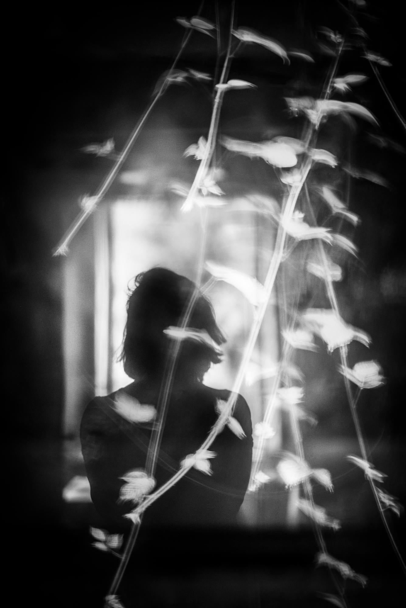 Sarah Hadley Black and White Photograph – Flüsternde Reben