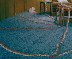 DISPOSITIVO OPERATIVO - Serie Crepúsculo Vivir Impresión cromogénica, Sala de paneles de madera