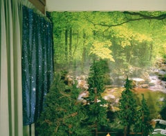 NATURALEZA PRIVADA- Serie Crepúsculo Vivo Impresión cromogénica, Verde, Sala del Árbol