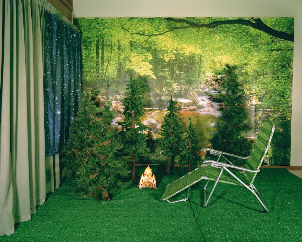 PRIVATE NATURE- Twilight Living Series Chromogenic Print, Green, Tree Room