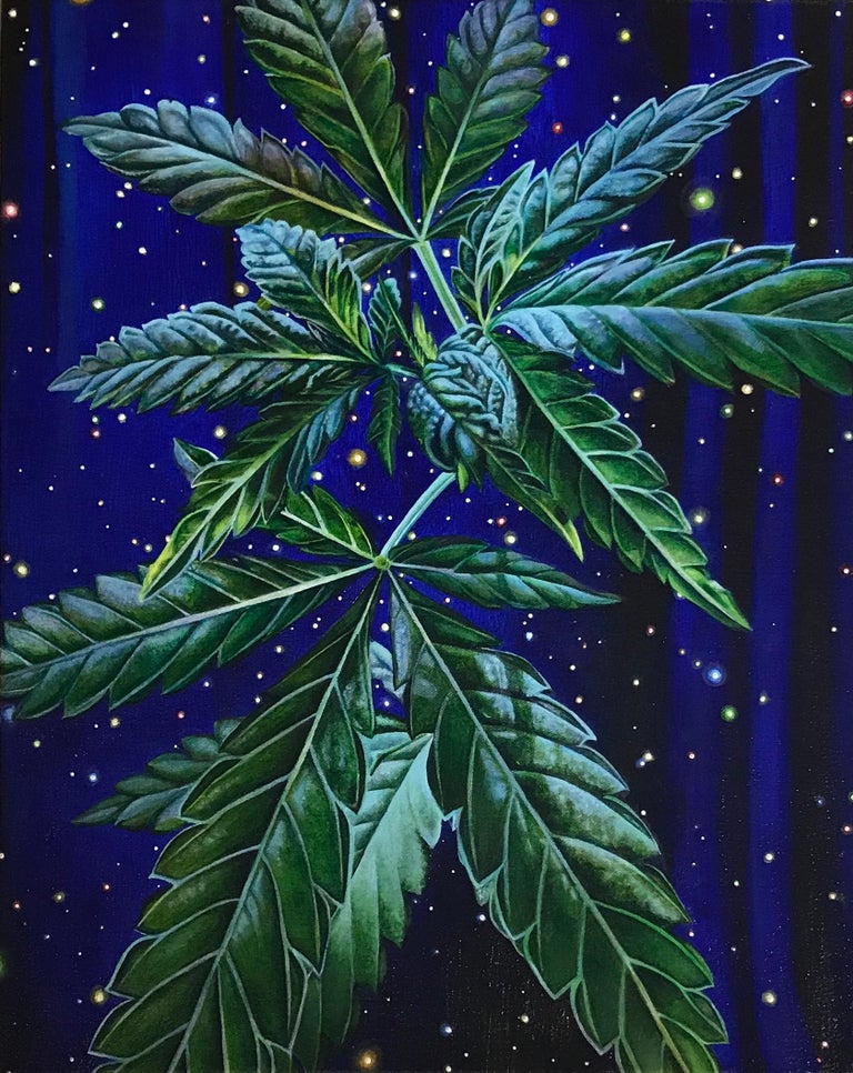 Sarah Jacobs Tacky, Original Signed Contemporary Botanical Marijuana