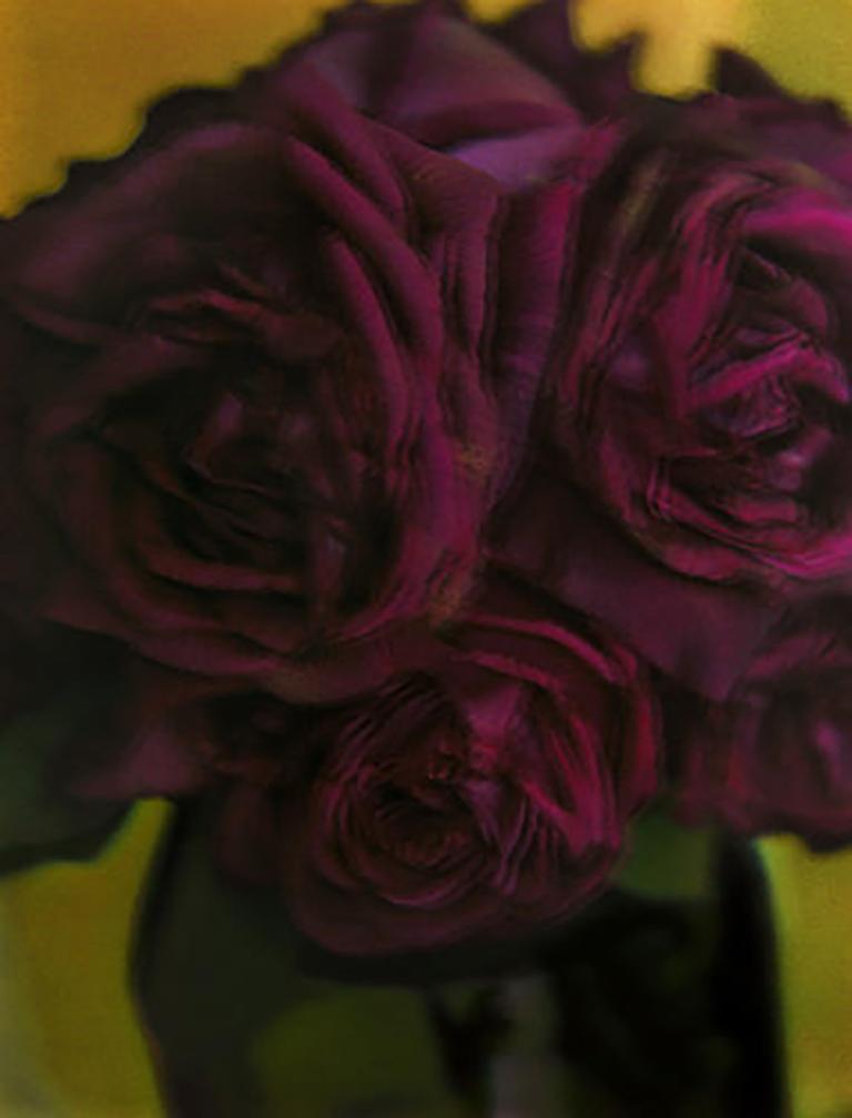 Sarah Moon Color Photograph - Les Roses