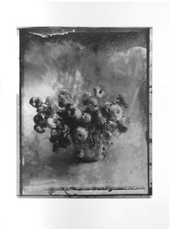 Nevermind, Gelatin Silver Print, 1989