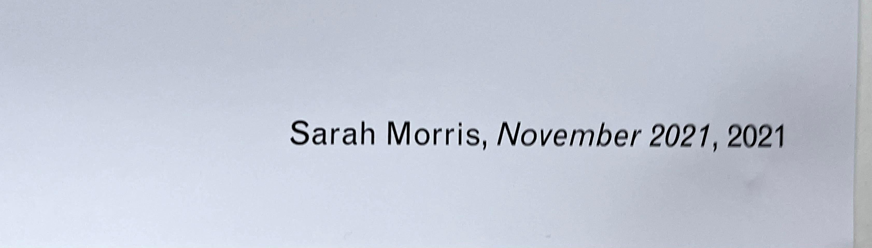 Sarah Morris
November 2021, 2021
Lithograph on wove paper
The work itself is not signed and it comes with a certificate of authenticity -  hand signed by Sarah Morris (the artist) as well as the head of ICA Editions, and individually numbered 17/100