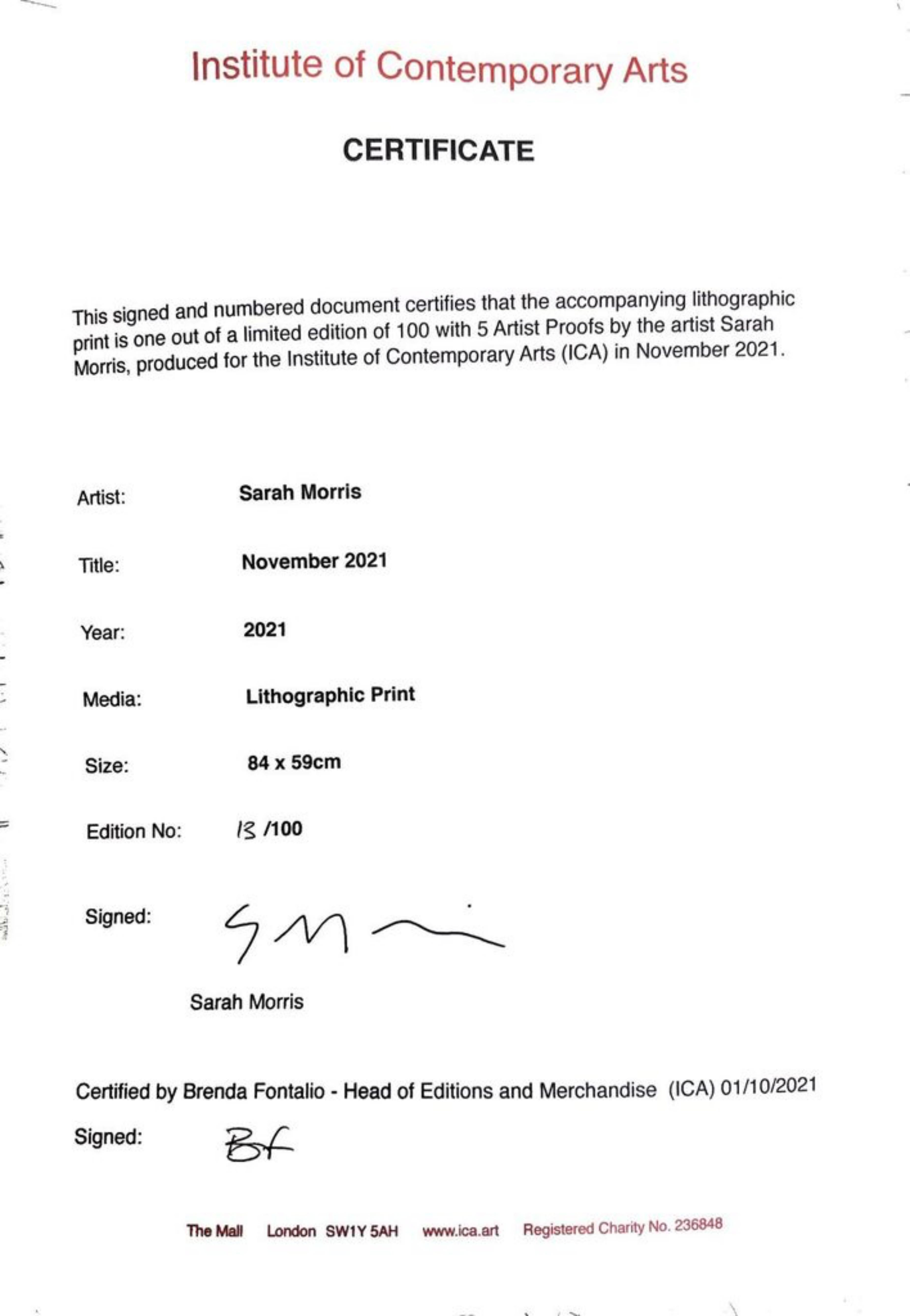 Novembre 2021 litografia astrazione geometrica artista firmato numerato COA 13/100 in vendita 1