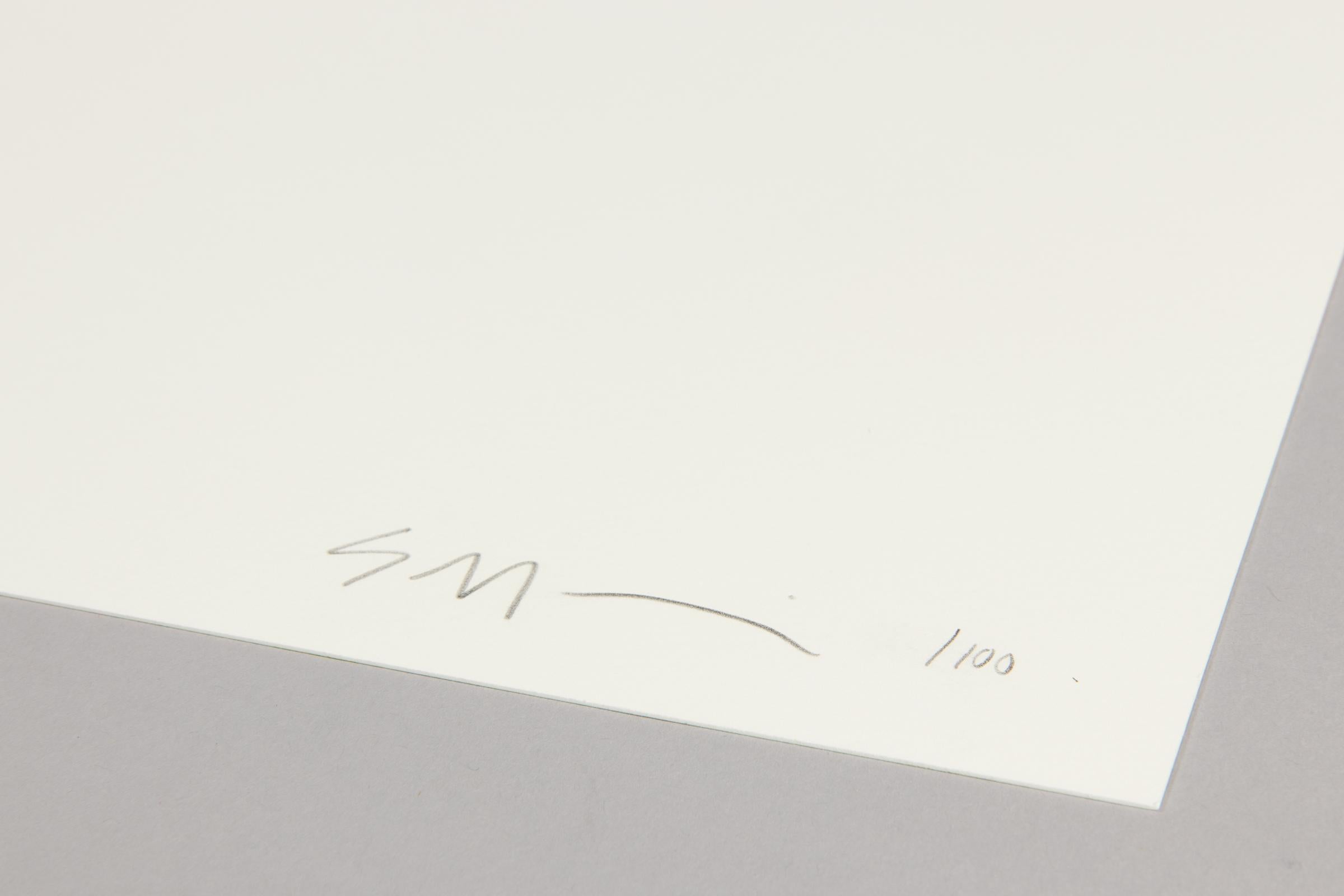 Sony (Los Angeles), signierter Siebdruck, Abstrakte Kunst, Geometrische Abstraktion (Grün), Abstract Painting, von Sarah Morris
