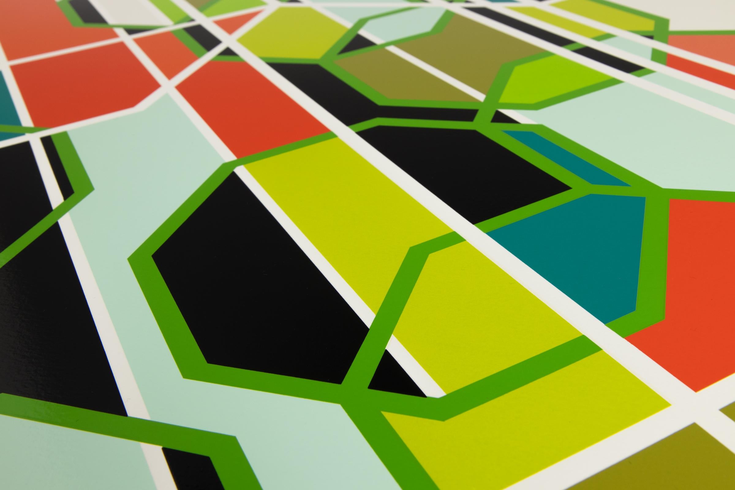 Sony (Los Angeles), Serigrafia firmata, Arte astratta, Astrazione geometrica - Abstract Print Verde di Sarah Morris