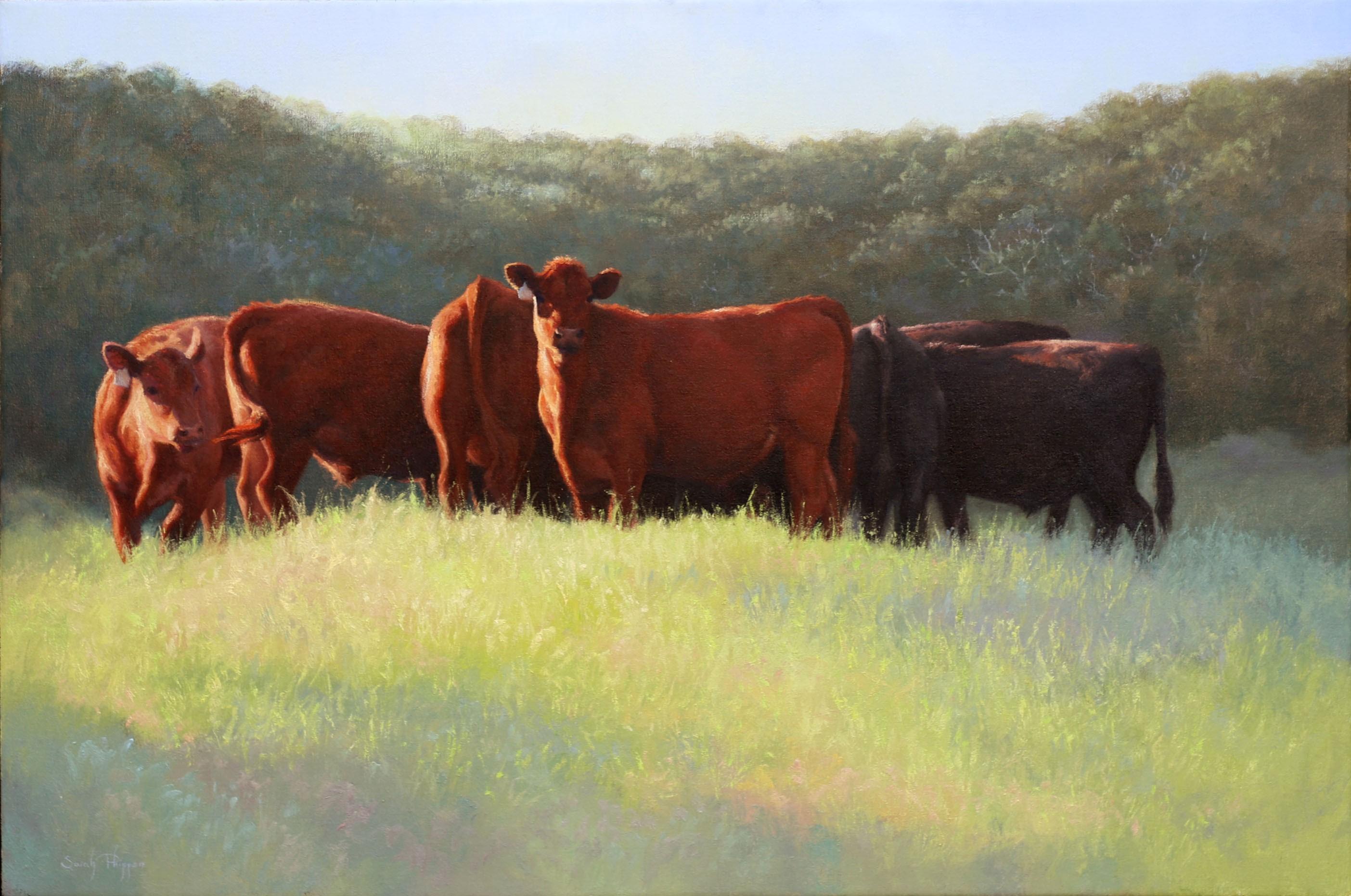 Summer's Glow - Impressionist Painting by Sarah Phippen