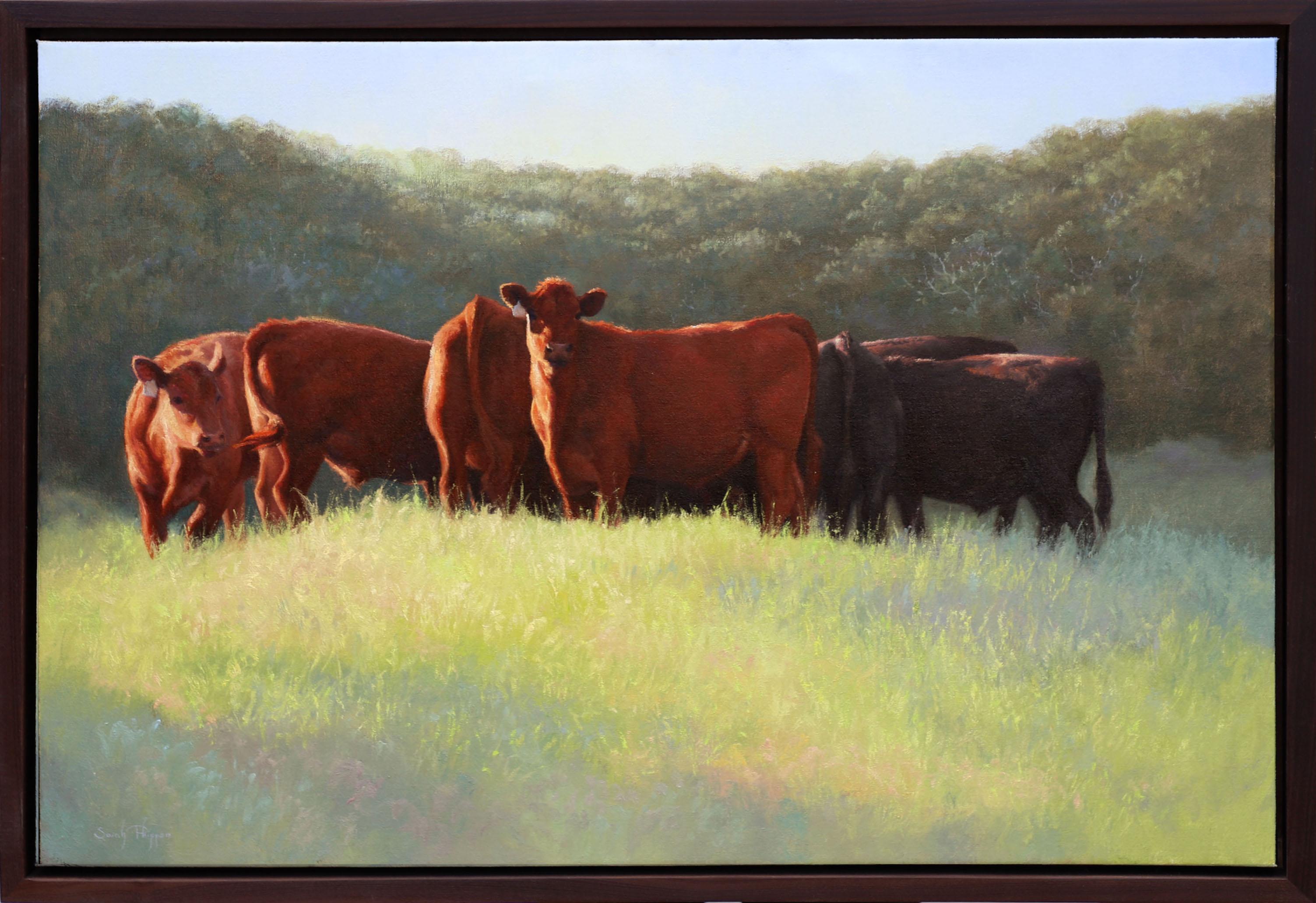 Summer's Glow - Painting by Sarah Phippen