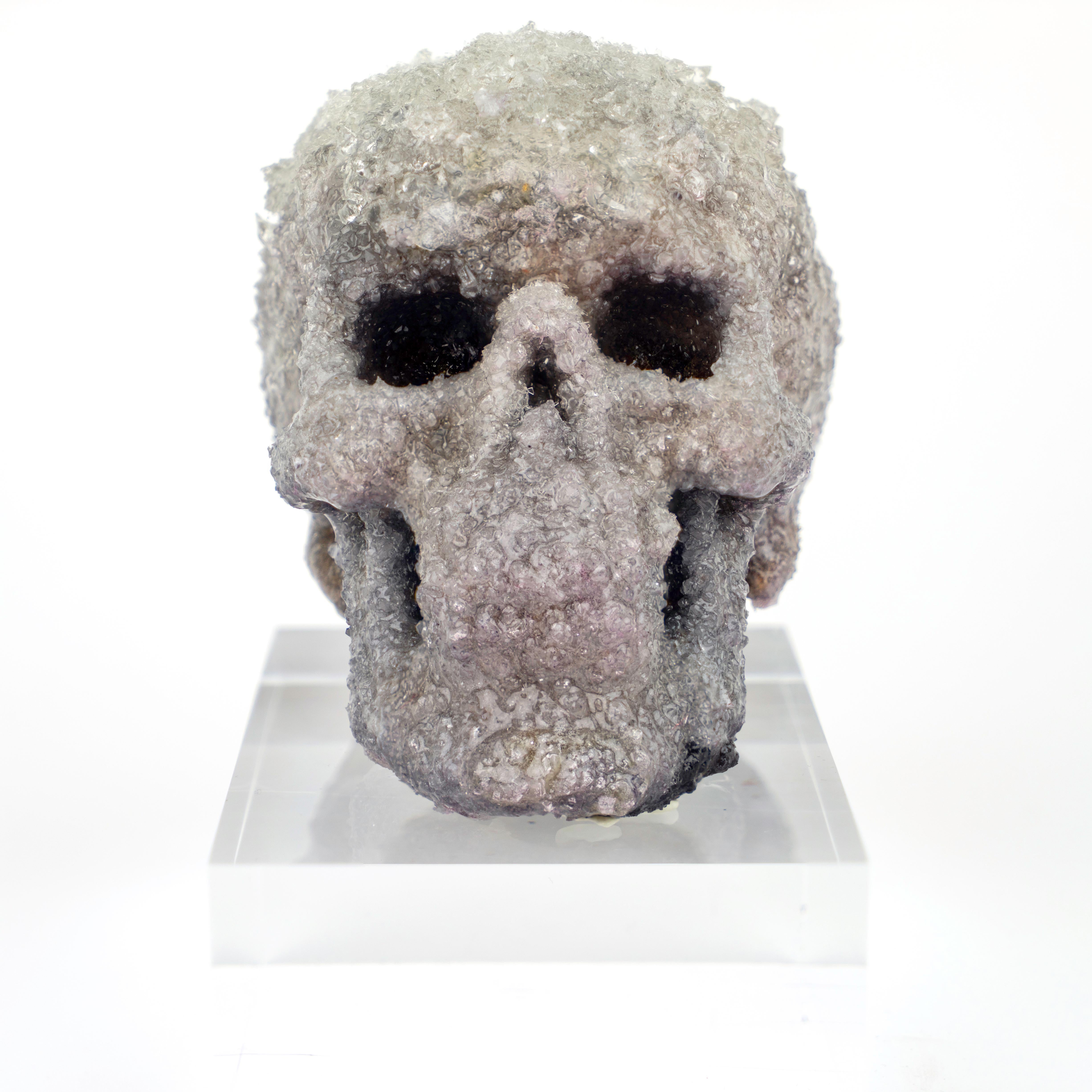 Crystal Skull Sculpture, Sarah Raskey For Sale 1