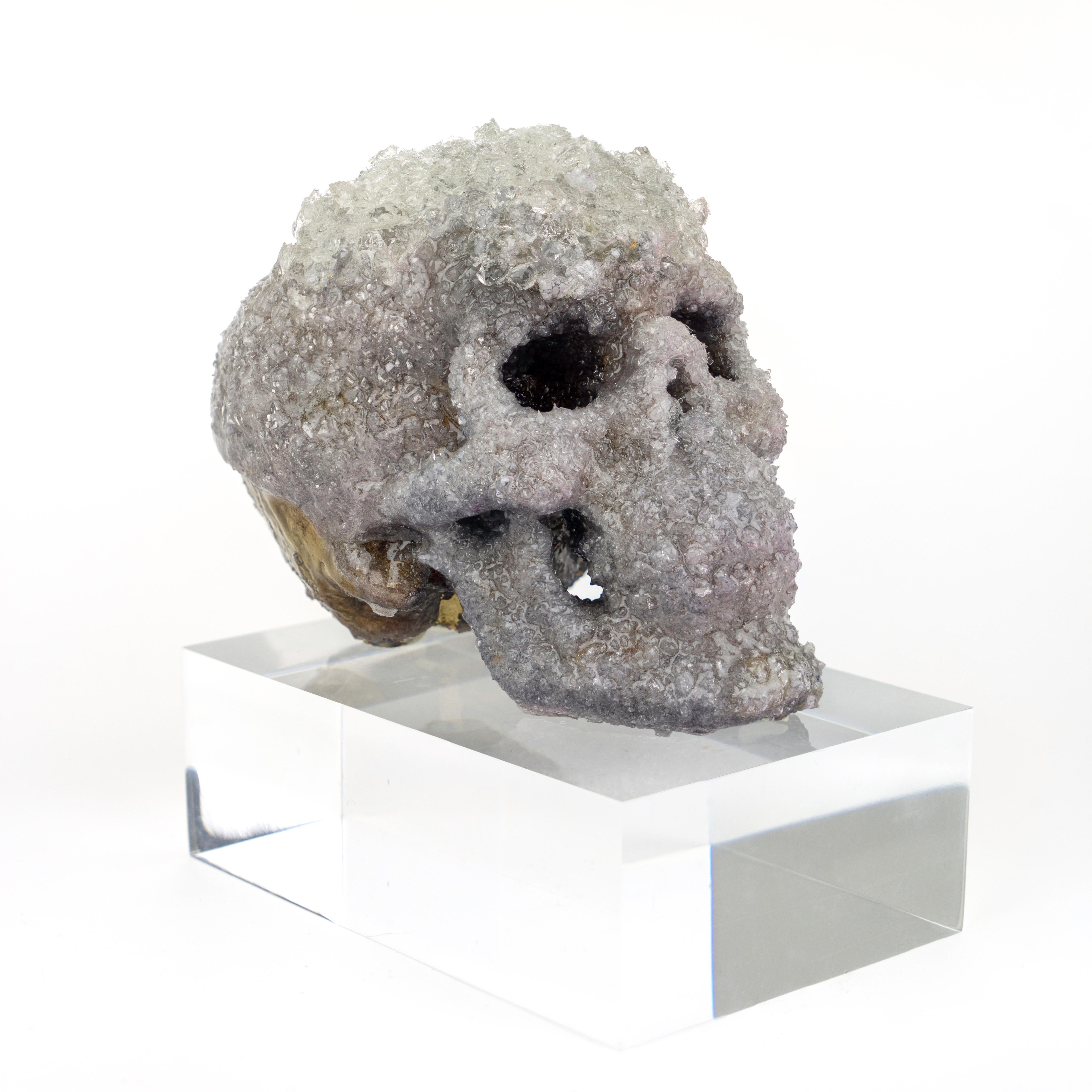 Crystal Skull Sculpture, Sarah Raskey For Sale 2
