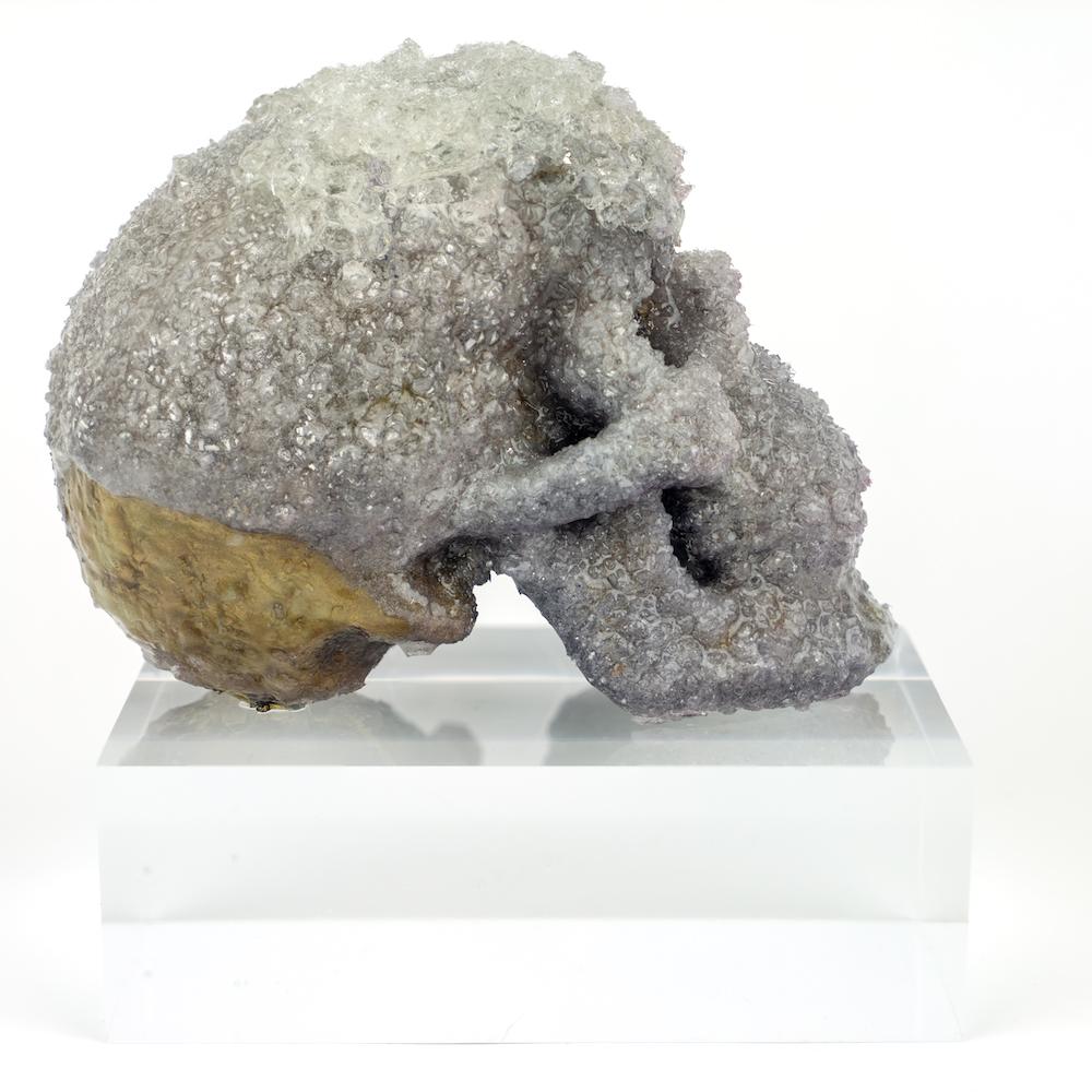 Crystal Skull Sculpture, Sarah Raskey For Sale 3