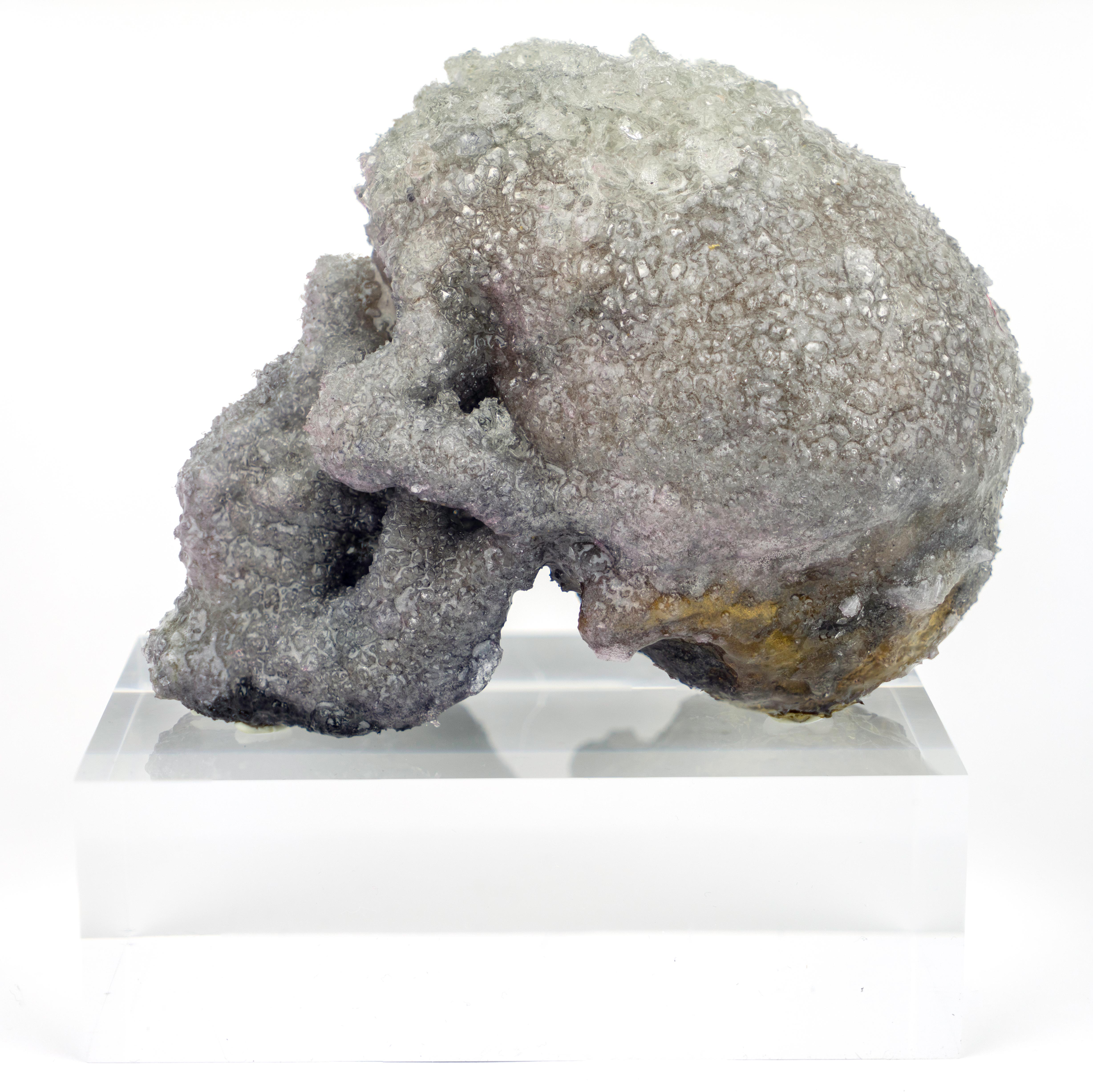Crystal Skull Sculpture, Sarah Raskey For Sale 5