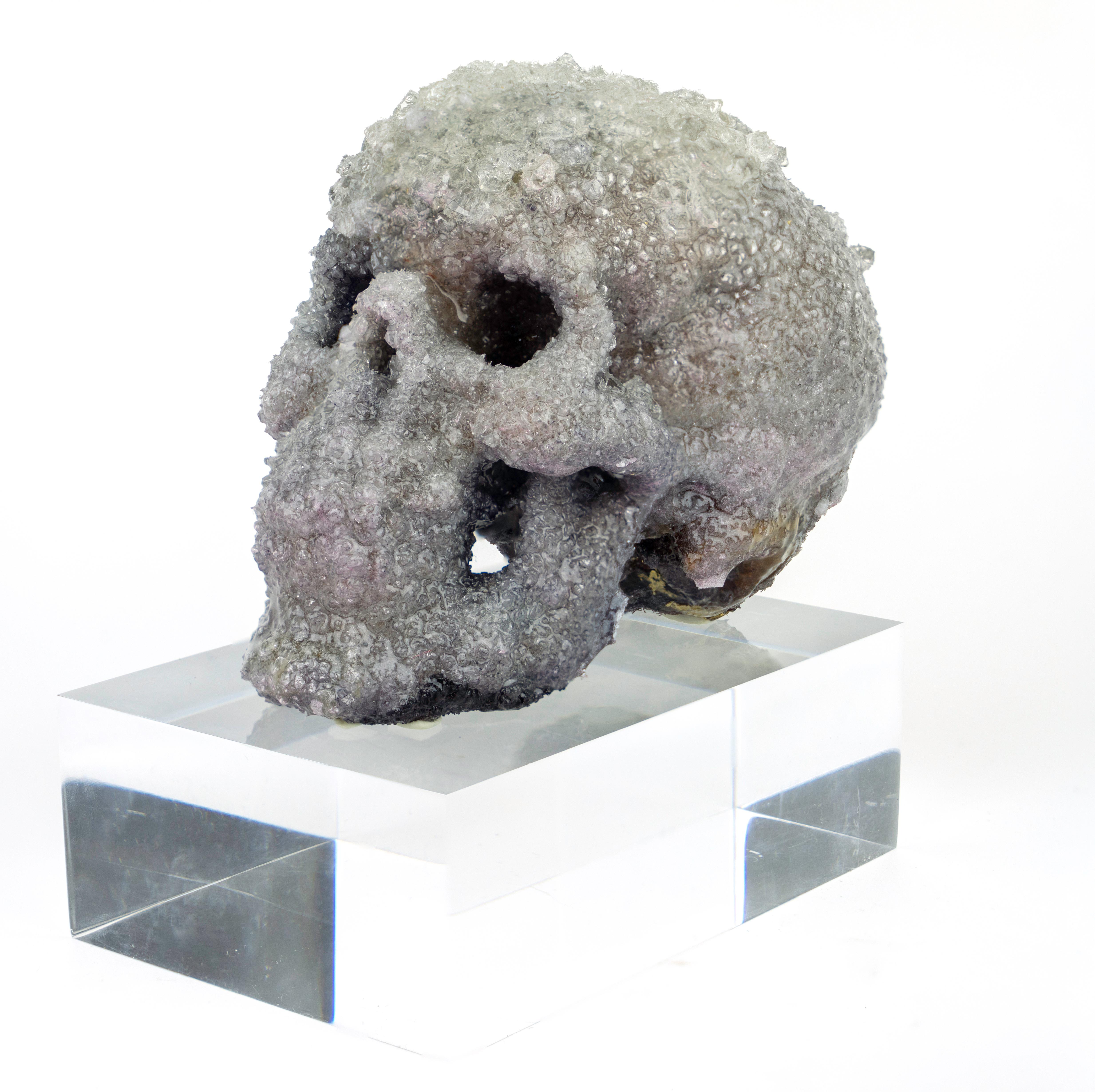 Crystal Skull Sculpture, Sarah Raskey For Sale 6