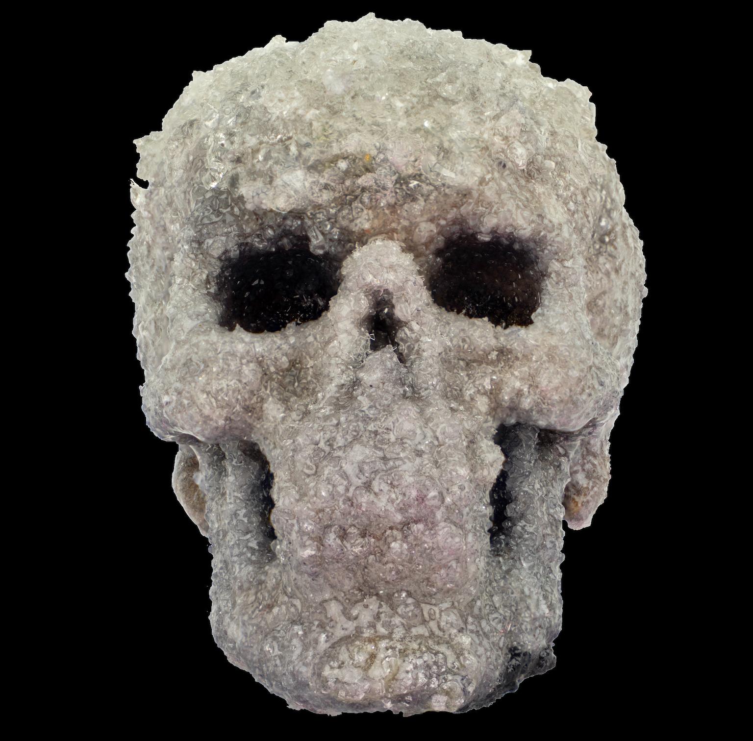Crystal Skull Sculpture, Sarah Raskey For Sale 7