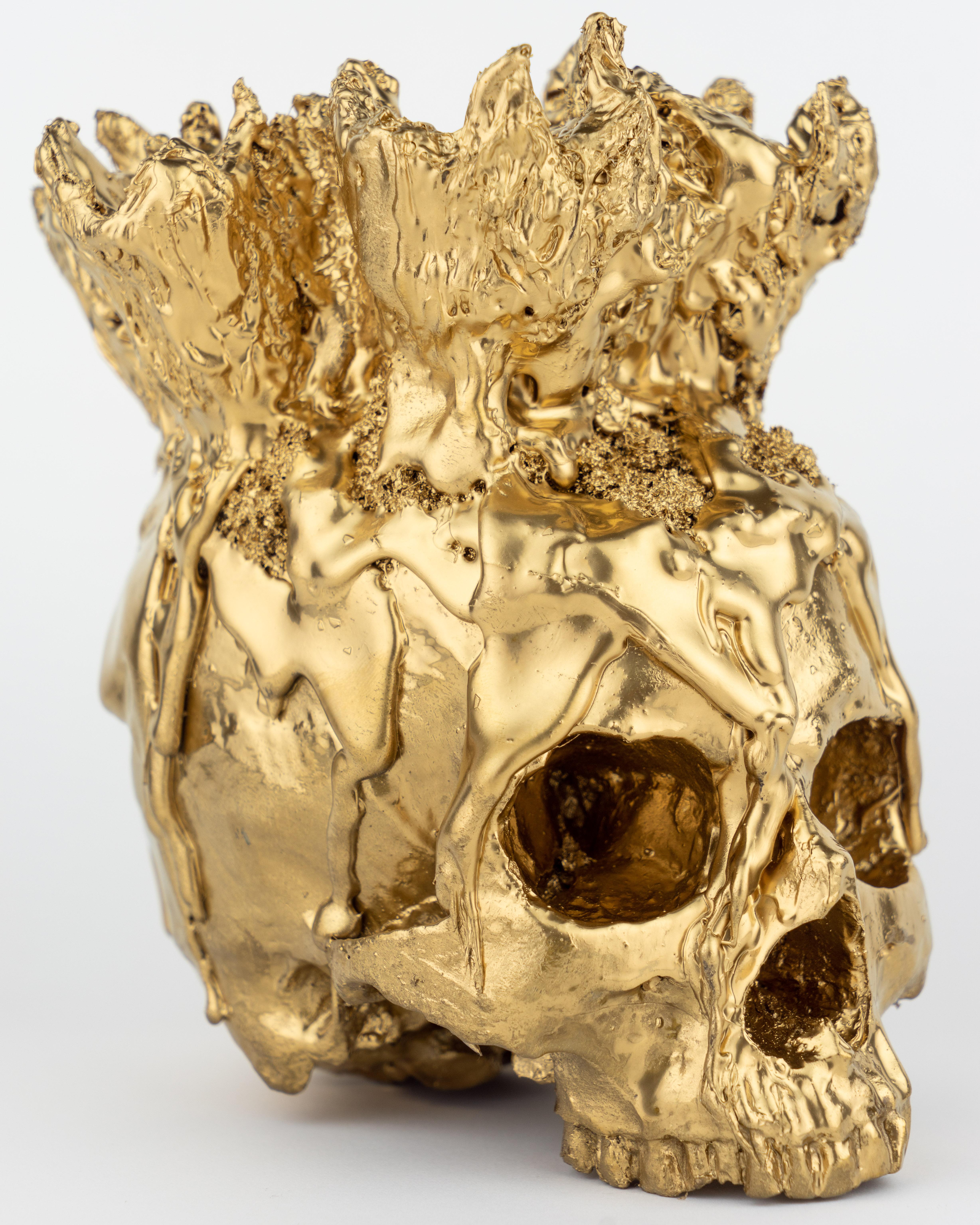 This Gold Skull Vase by Sarah Raskey is a 8 x 6.5 x 7 inch textured mixed media sculpture composed of natural and manmade elements. 
A lustrous gold skull sculpture adorned with a headdress vase to fill with flowers etc. 

Sarah Raskey is a
