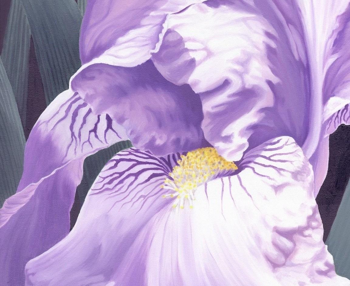 Iris II
