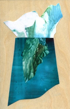 Iceberg 31