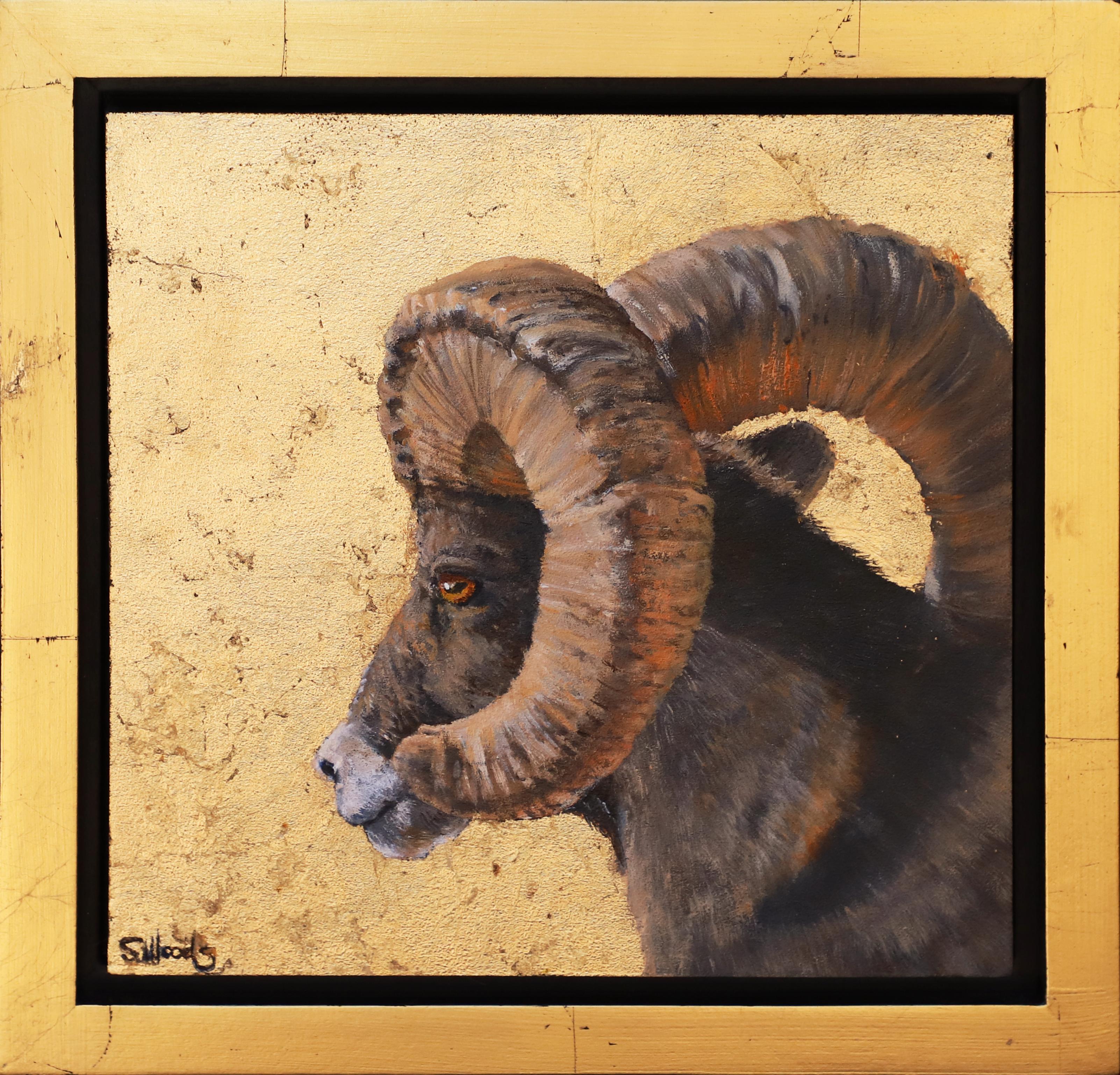 Il ragazzo del Colorado