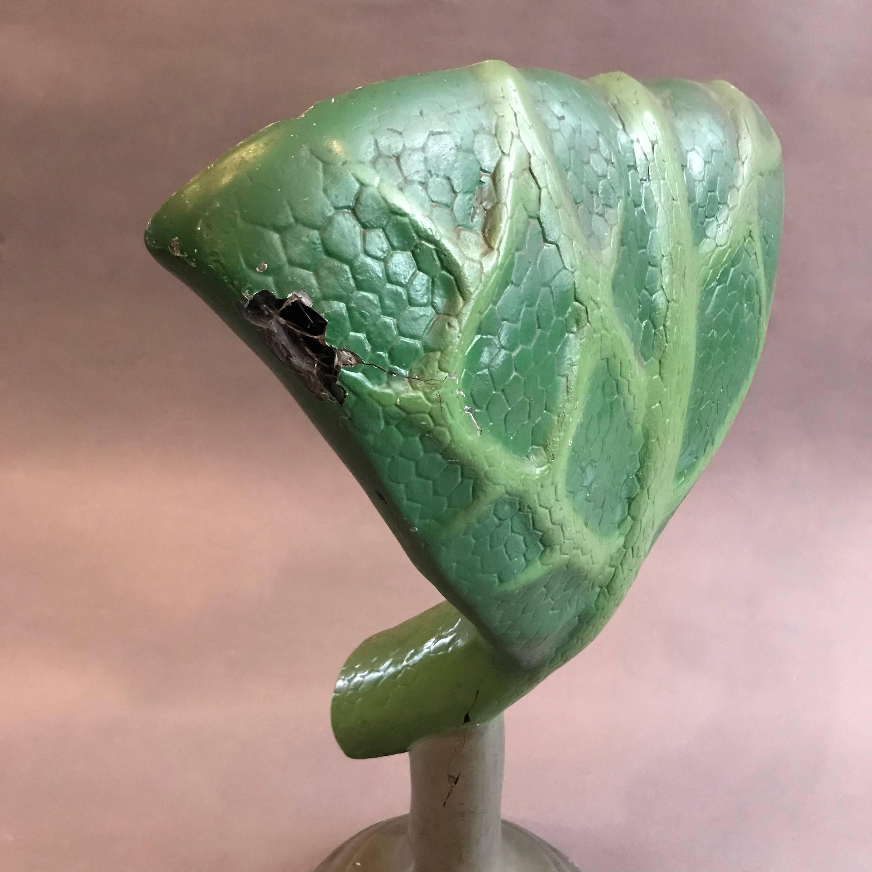 Sargent-Welch Scientific Educational Leaf Botanical Model In Good Condition In Brooklyn, NY