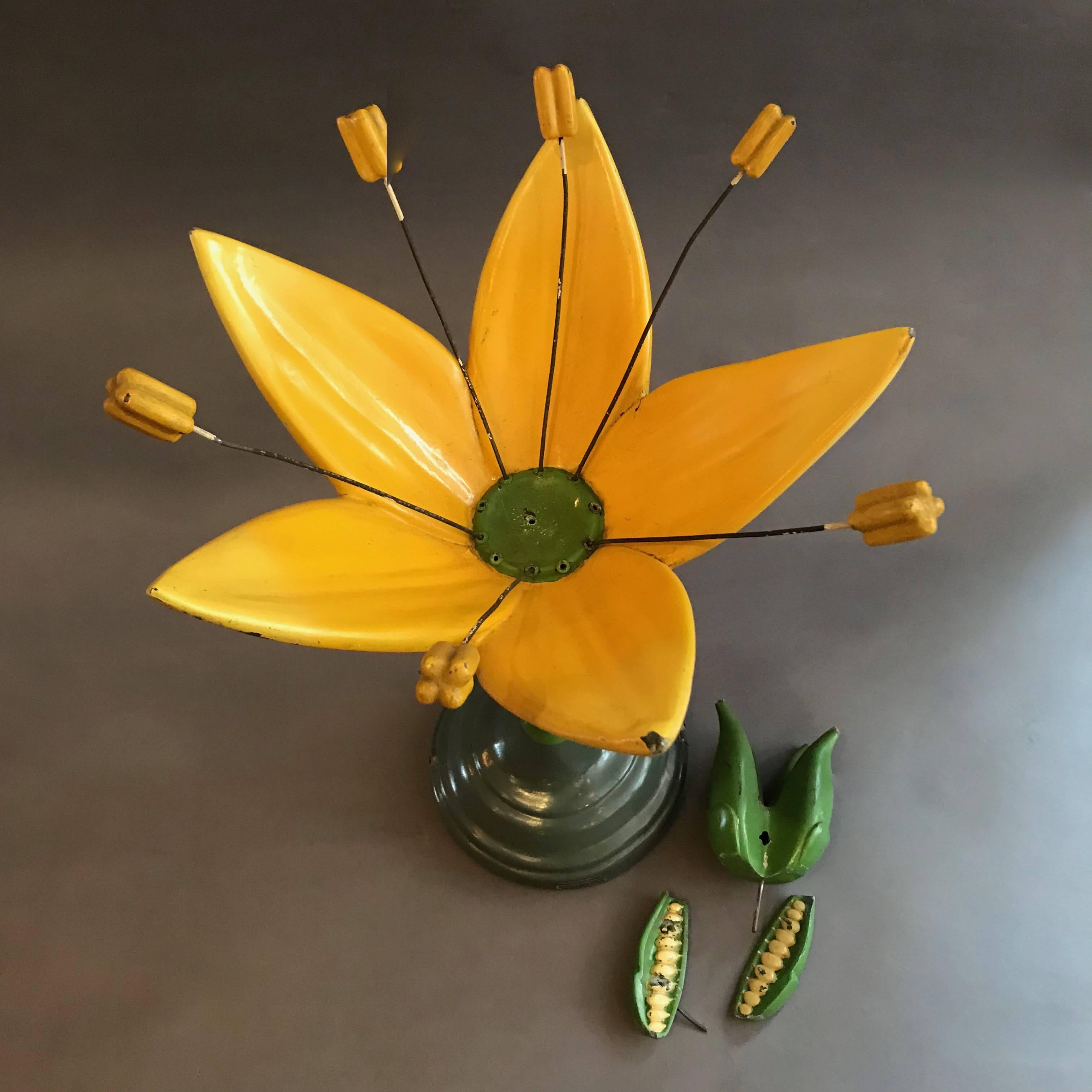 American Sargent-Welch Scientific Flower Botanical Model