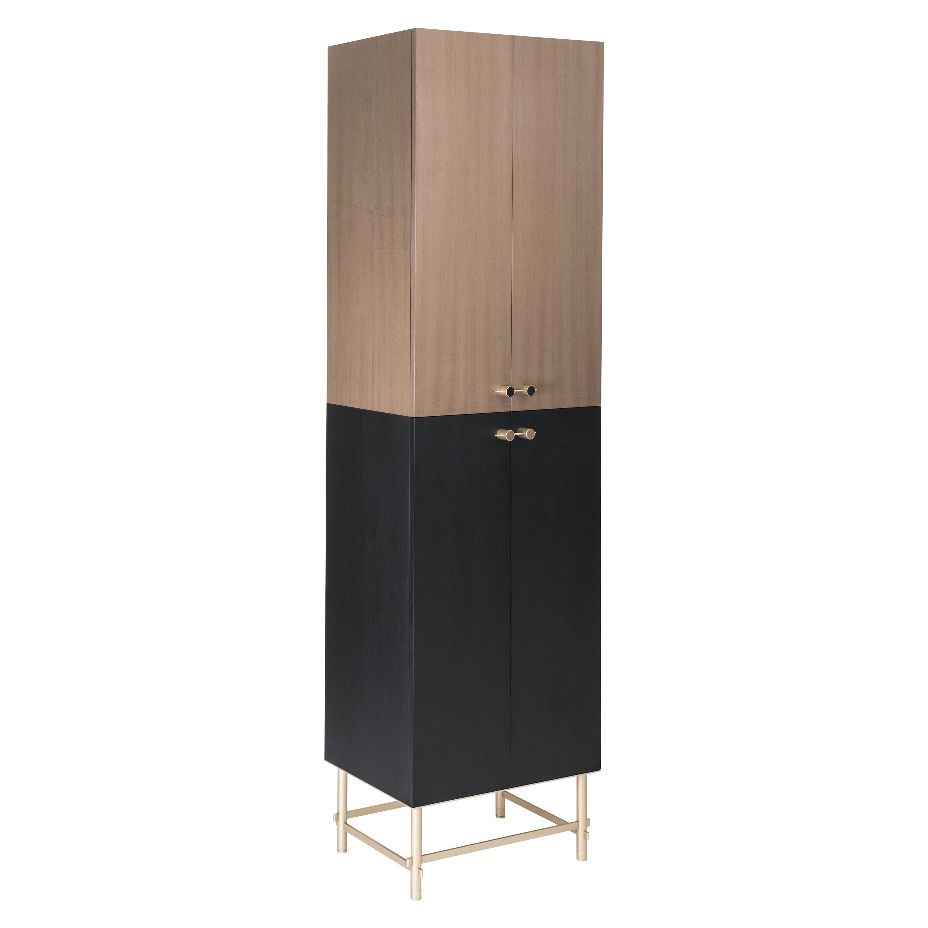 Sarita 2 Colors Luxury Cabinet Metal Structure, Jewel Handles & 2 Wooden Compart For Sale