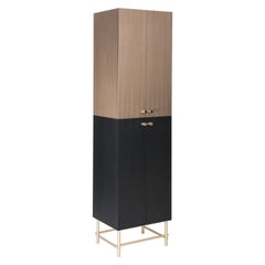 Sarita 2 Colors Luxury Cabinet Metal Structure, Jewel Handles & 2 Wooden Compart
