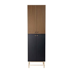 Sarita C0118 Wooden Cabinet