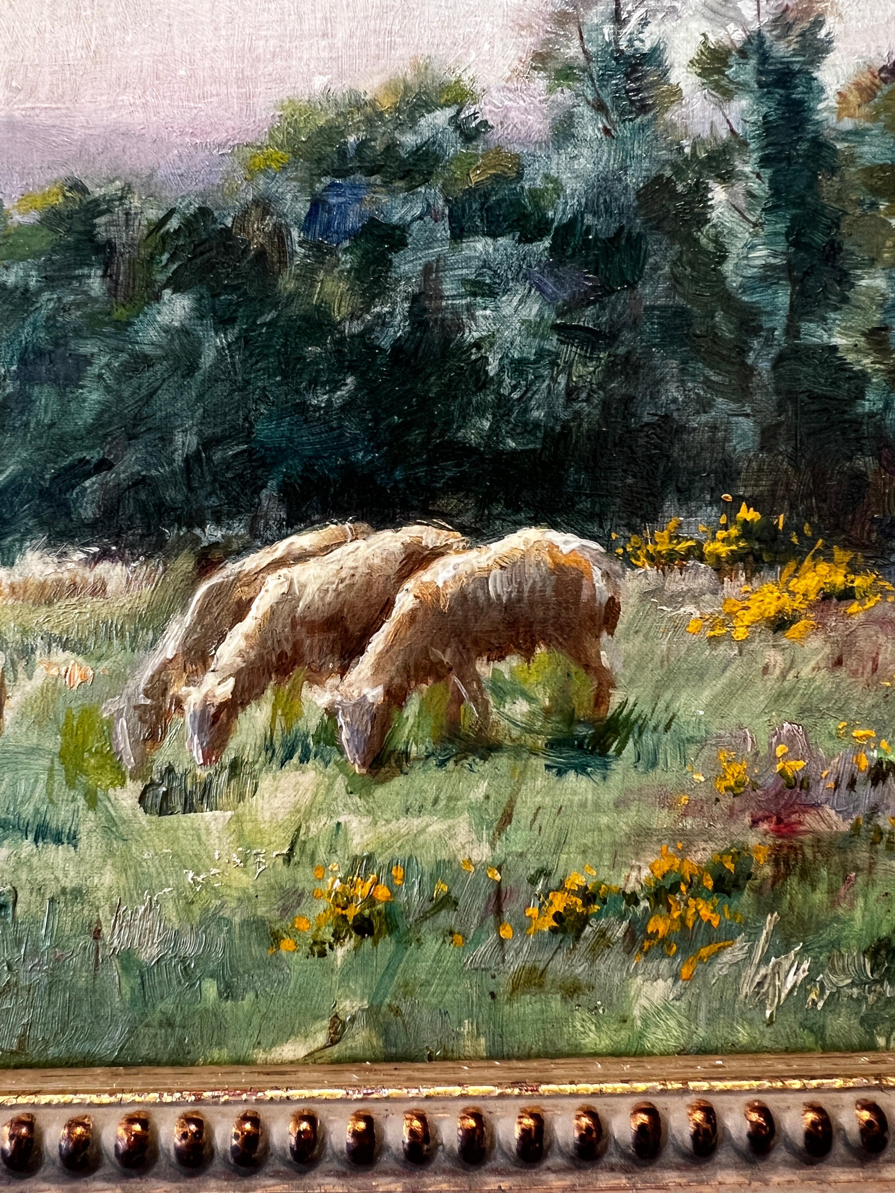 Schafe auf der Weide, (Les moutons au pâturage) (Impressionismus), Painting, von Sarkis Diranian