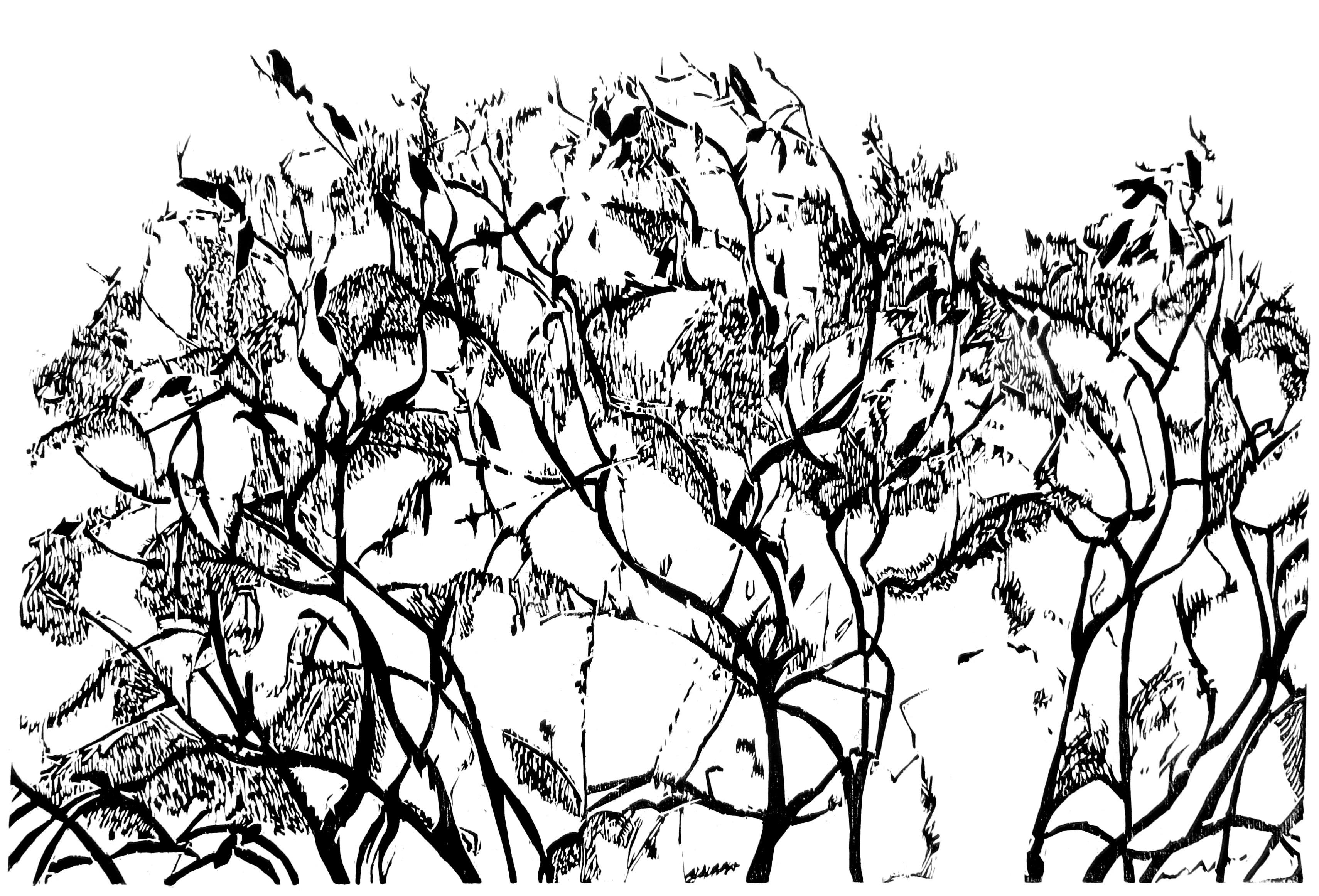 Sasa Markinkov Landscape Print - ‘Black Birds Gathering’   