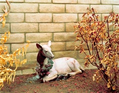 "Wildfire #32, Witch Creek Fire, Rancho Bernardo, CA, 2007" color photograph