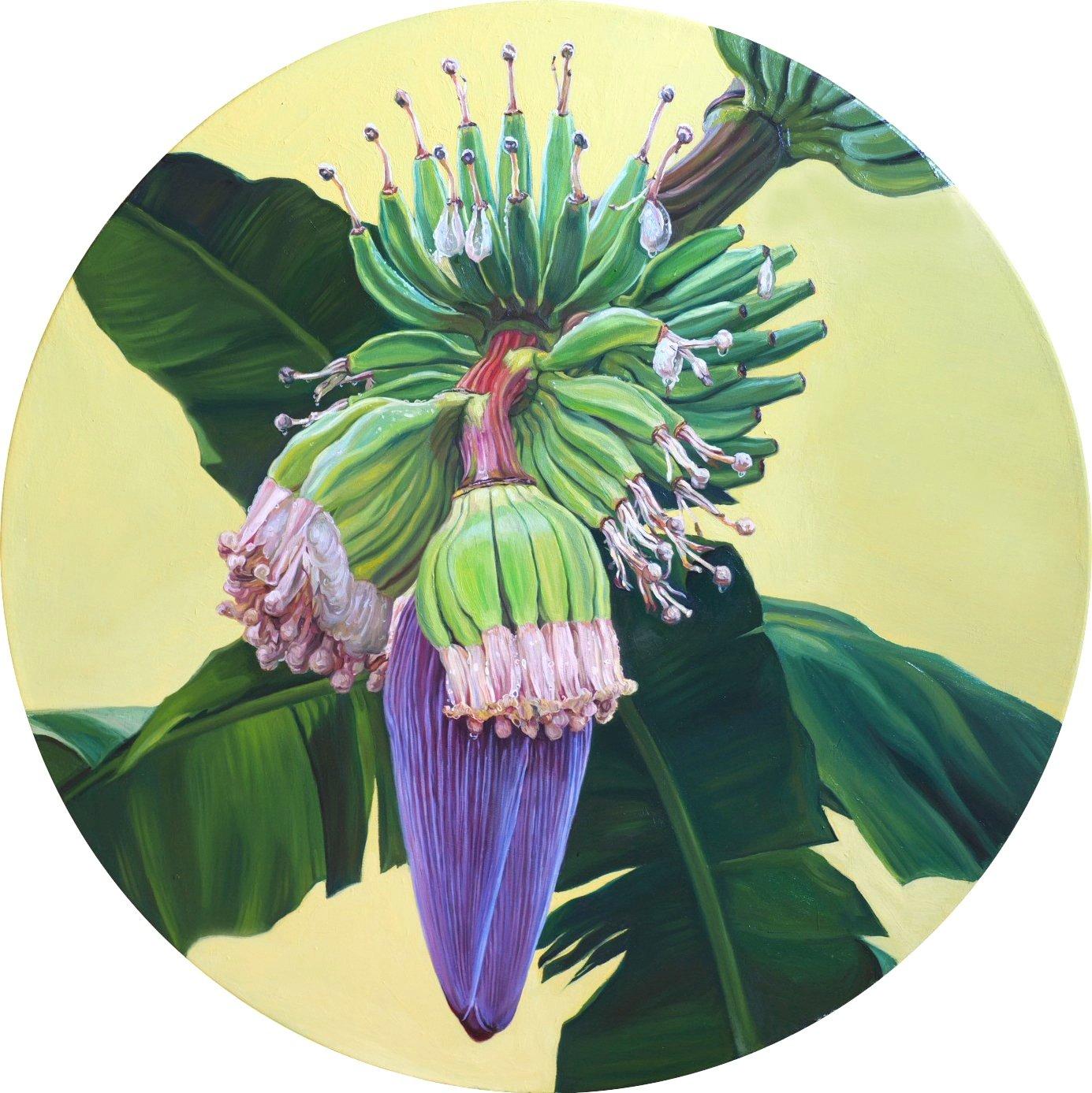 „Banana Flower“ Ölgemälde D 39“ Zoll von Sasha Sokolova

Bio 
Sasha Sokolova, die in Moskau in eine Künstlerfamilie hineingeboren wurde, ist eine preisgekrönte zeitgenössische realistische Malerin, die mit einer Reihe von traditionellen Öl- und