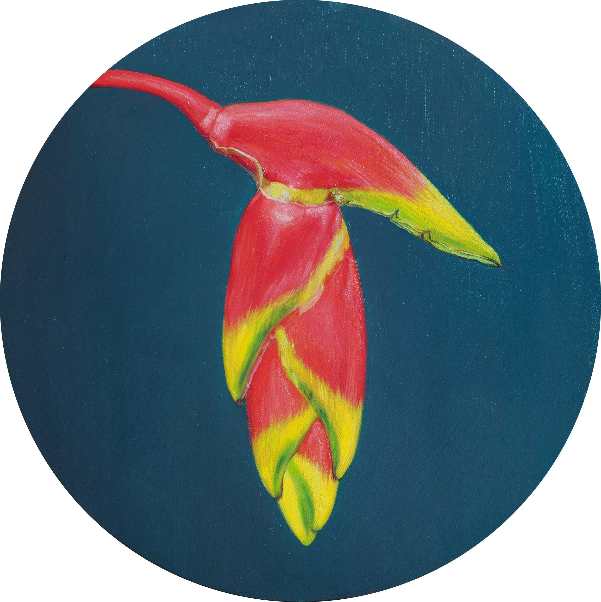 "Heliconia" Oil Painting D 20" inch by Sasha Sokolova

Bio 
Born in Moscow into a family of artists, Sasha Sokolova is an award winning contemporary realist painter, working across a range of traditional oil and water colour techniques.  Her current