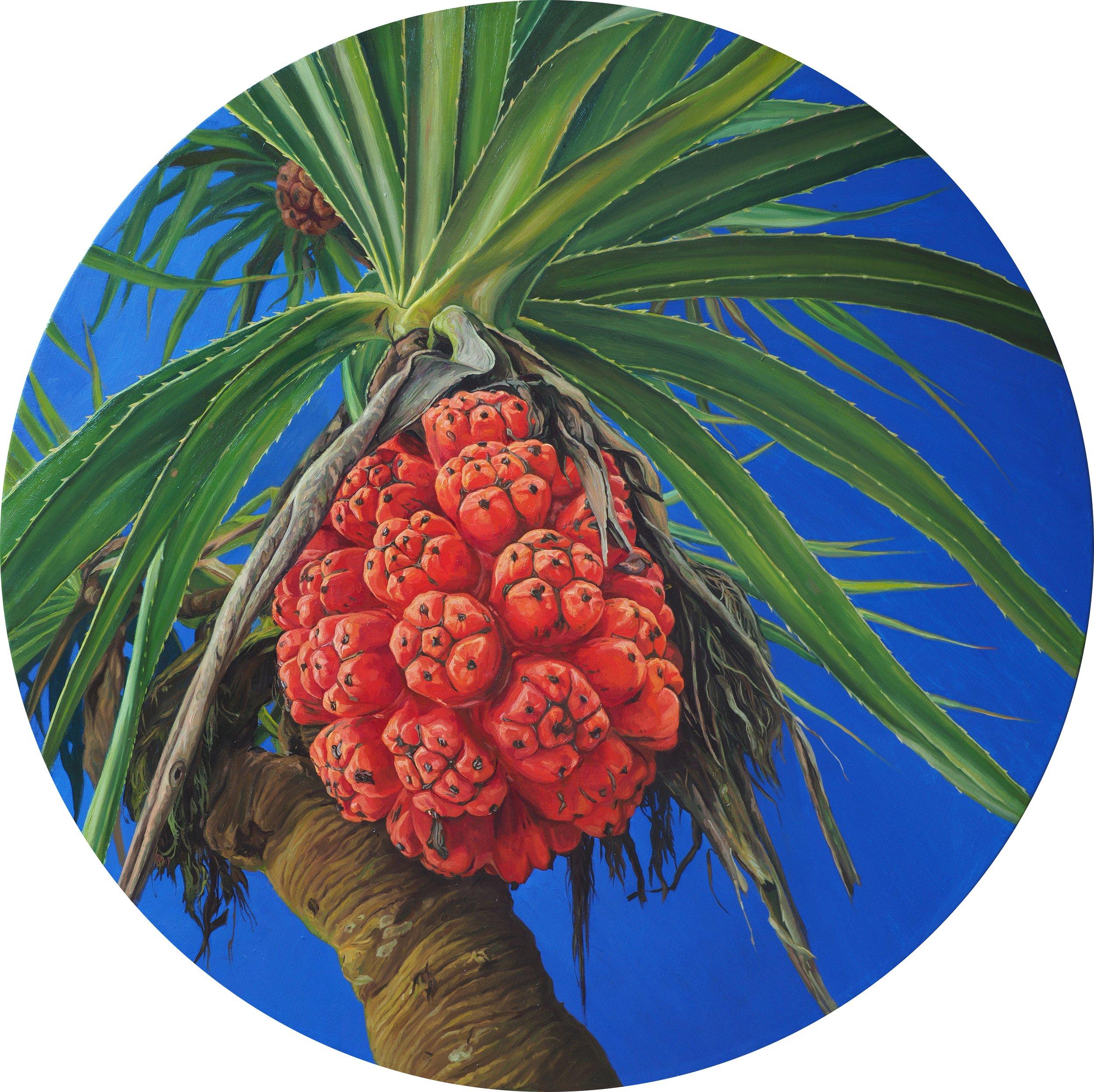 "Pandanus" Oil Painting D 39" inch by Sasha Sokolova

Bio 
Born in Moscow into a family of artists, Sasha Sokolova is an award winning contemporary realist painter, working across a range of traditional oil and water colour techniques.  Her current