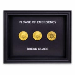 SASHIRY - In case of emergency, Break Glass for Bitcoin
