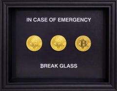 SASHIRY - In case of emergency, Break Glass for Bitcoin
