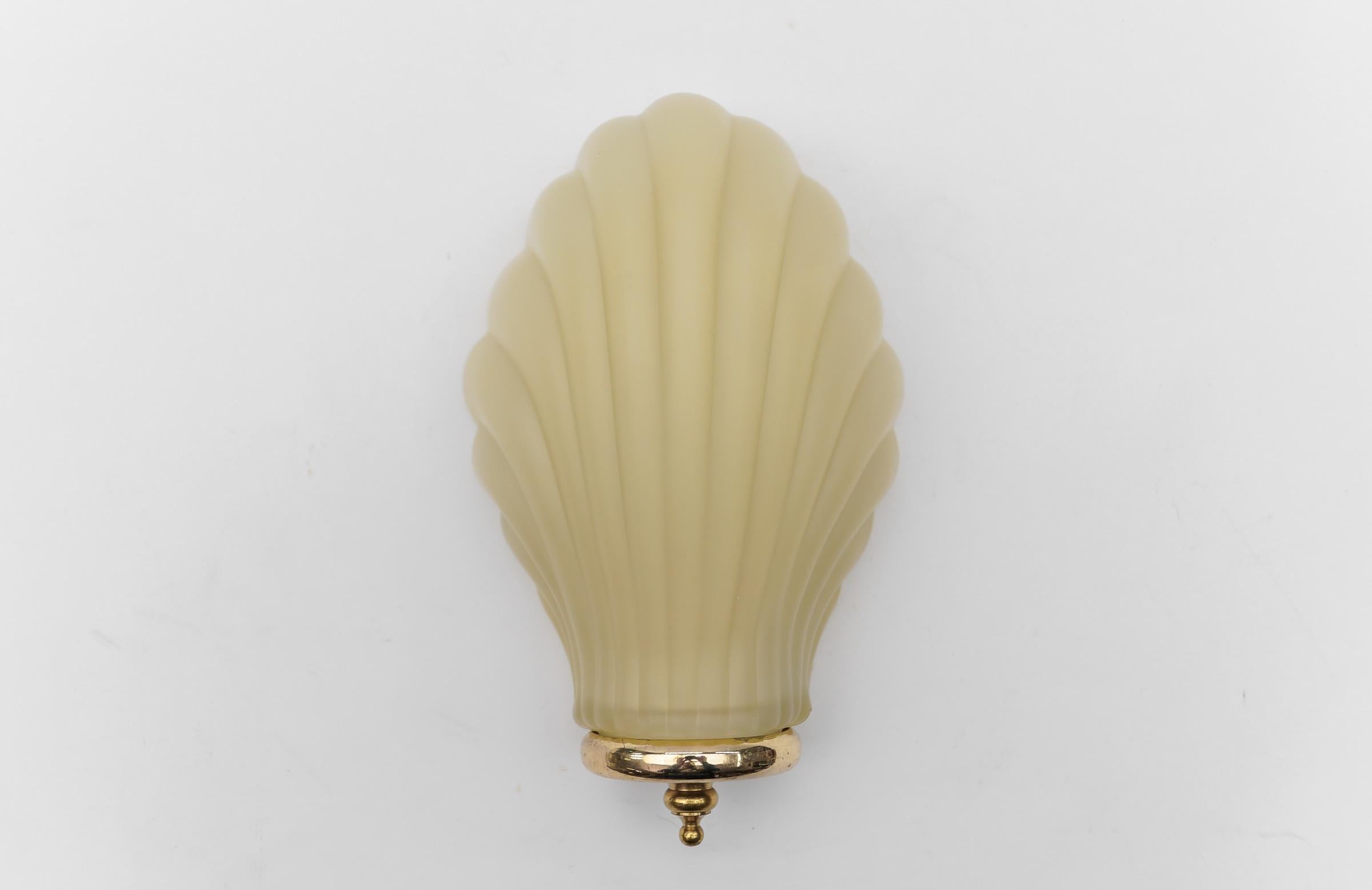 Satin Elegant Glass Shell Wall Light, 1960s Italy  

Executed in satin glass and metal. 

This lamp need 1 x E14 / E15 Edison screw fit bulb is wired, in working condition and runs both on 110 / 230 volt. Dimmable.

Our lamps are checked, cleaned