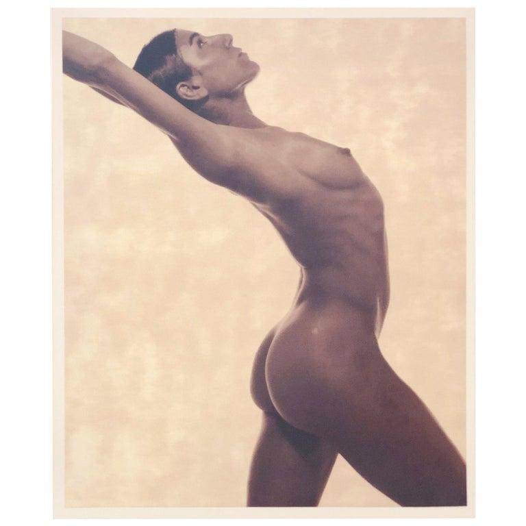 Beige Satin Finish Umber Photo-Lithograph by Karl Lagerfeld of 