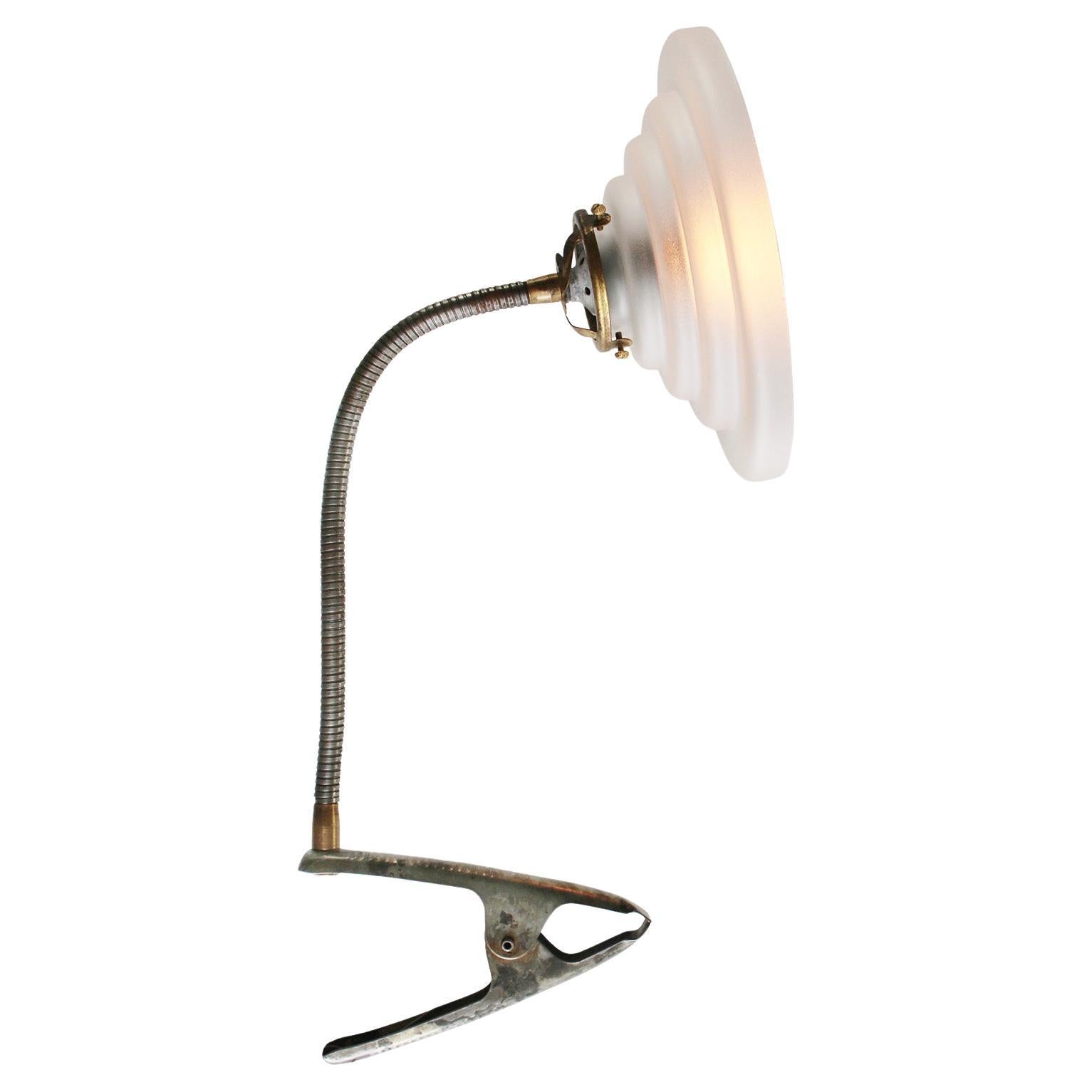 Verre satiné dépoli Vintage Bras flexible Pince Spot Applique en vente