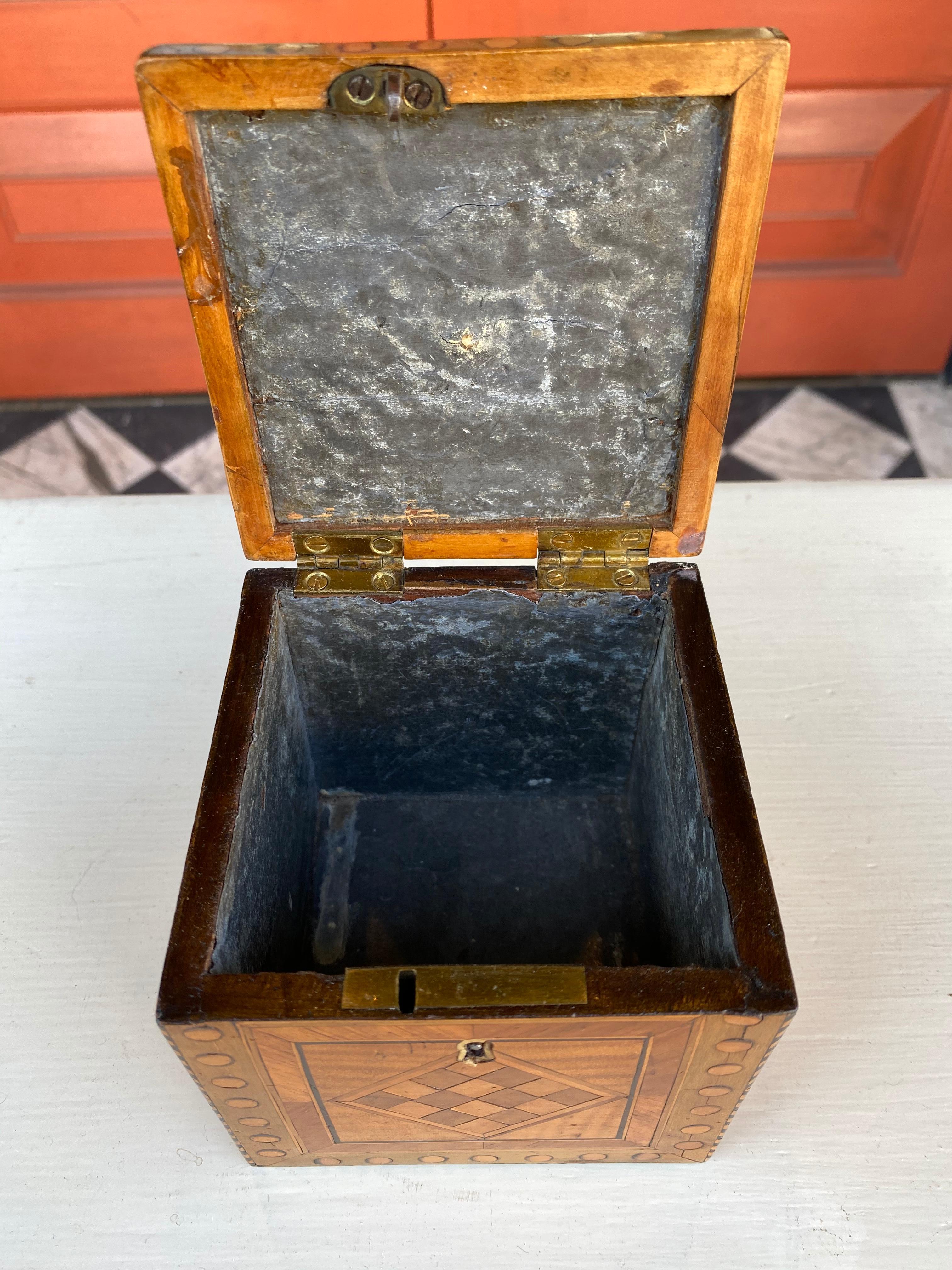 Satinwood inlaid cube tea caddy 2