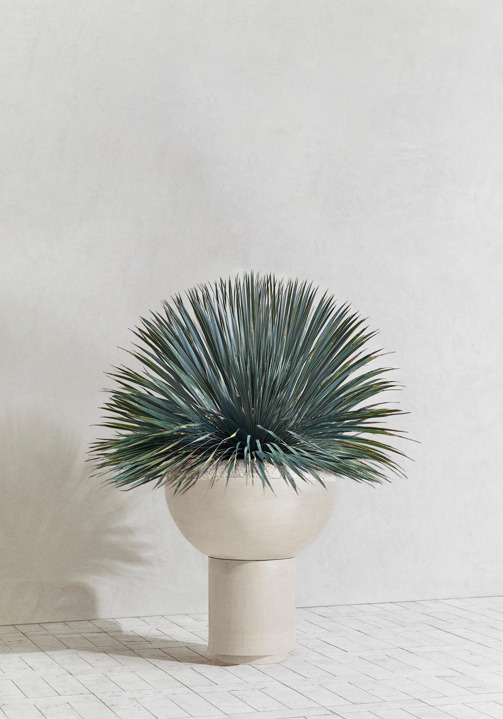 SATURN II de Sirak. 
Jardinera con pie de hormigón moldeado

La maceta con pie está moldeada en hormigón superrefinado que recuerda a la porcelana seca. La jardinera es adecuada tanto para interiores como para exteriores y puede fabricarse con o sin