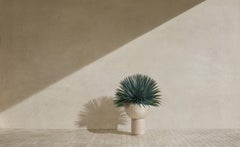 Pedestal Bowl Planter, SATURN II by SIRAK