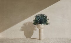 Pedestal Bowl Planter, SATURN III by SIRAK