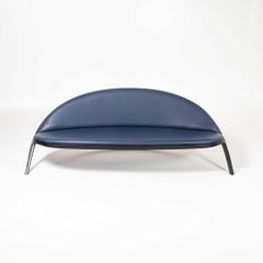 Saturno Sofa by Gastone Rinaldi for RIMA, Italy